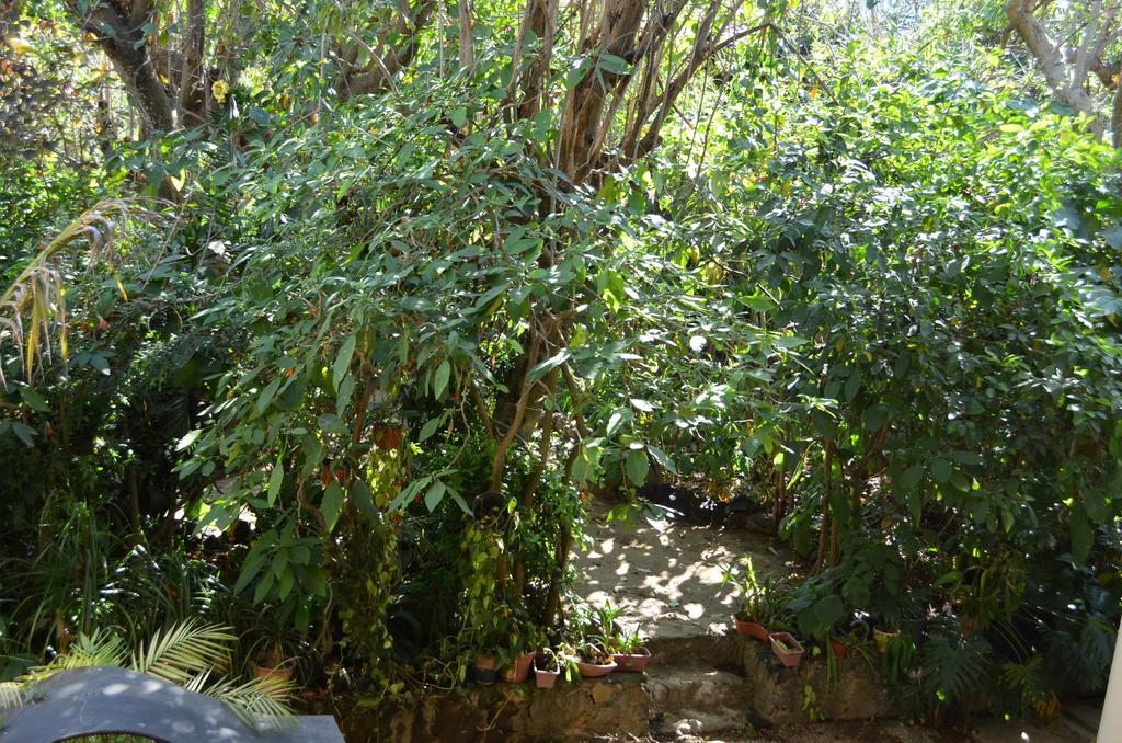 Hotel Bio Calli Tlayacapan Habitación foto